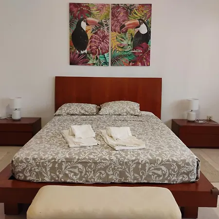 Apartament Cozy In *